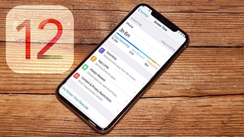Screen Time is a new feature in iOS 12 that helps to track your daily iPhone or iPad use