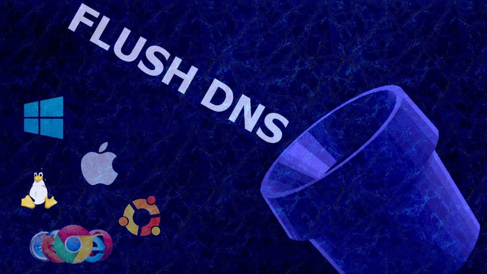 Flush DNS Cache (2021 How-To Guide)
