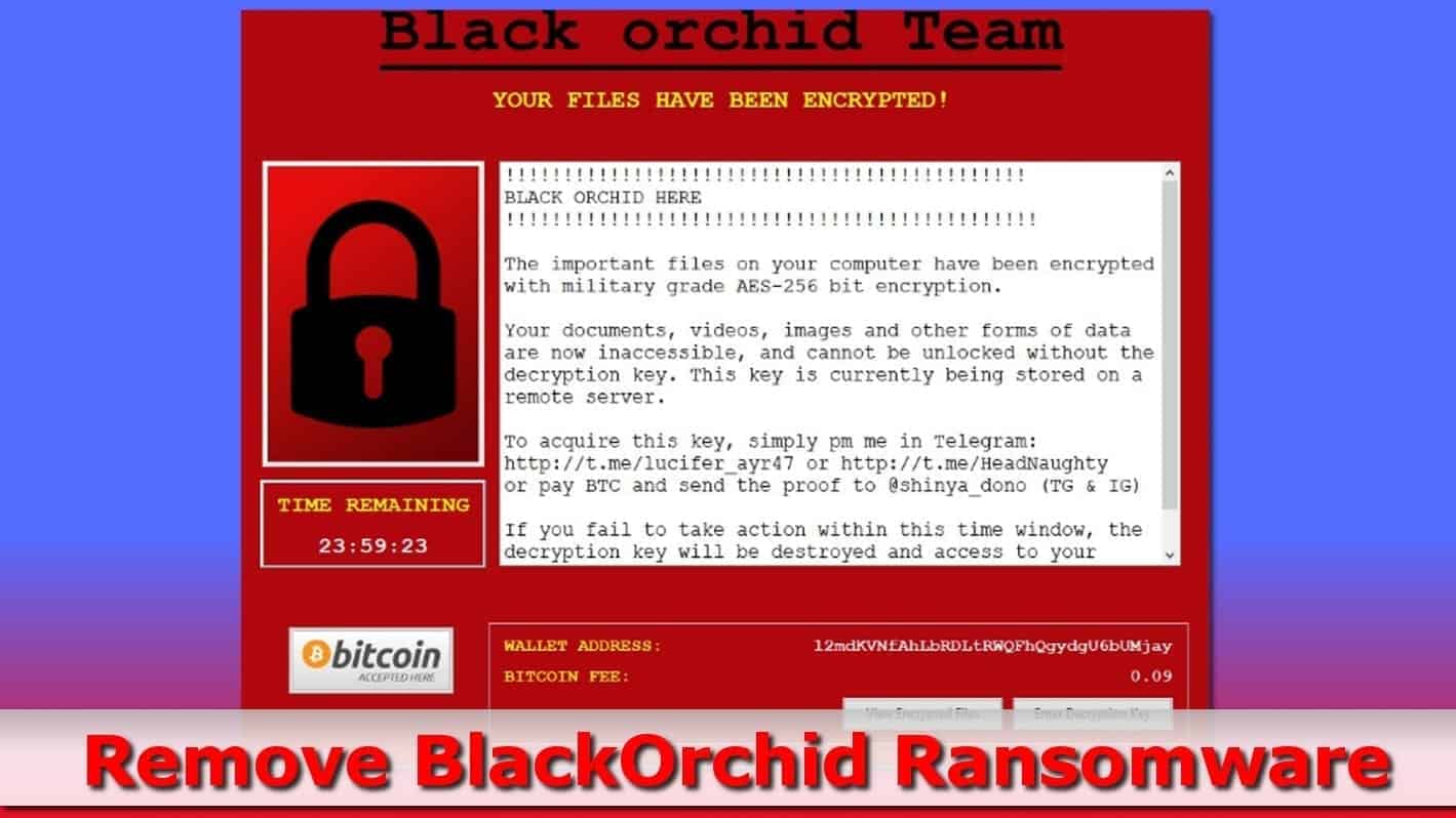 blackorchid ransomware virus removal steps