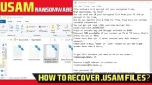 usam ransomware virus removal and decryption guide
