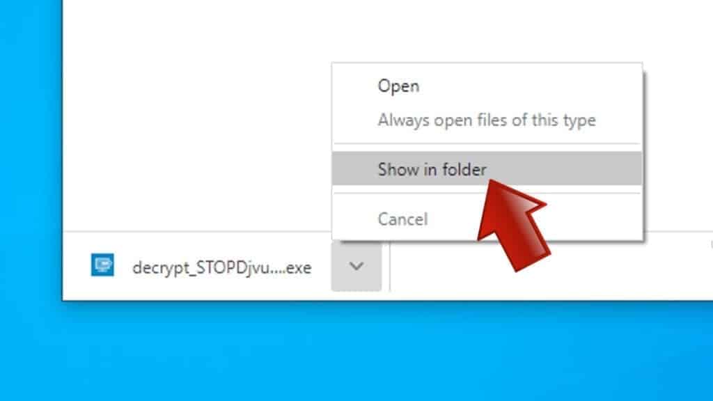 show emsisoft decryptor for stop djvu in folder