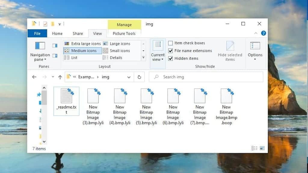 example of files encrypted by lyli virus