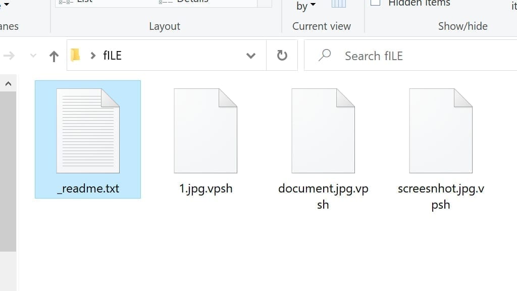 screenshot of file folder after vpsh virus attack