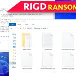 remove rigd ransomware virus and decrypt your files (free guide)