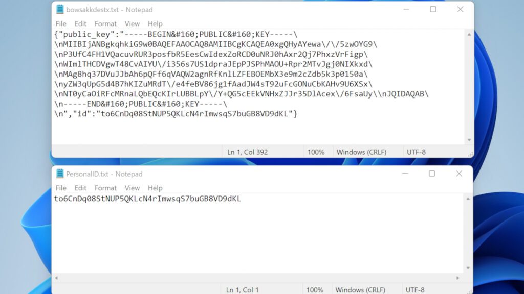 QDLA virus saves encryption key and victim's personal ID to computer for further usage in the attack